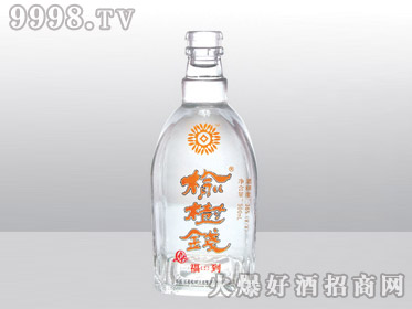 ǰ߰ϲƿǮYT-163-500ml